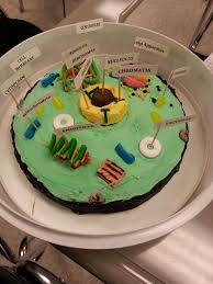 We did not find results for: Animal Cell Cake Project Easy And A Affordable Edible Cell Project Cells Project Edible Cell