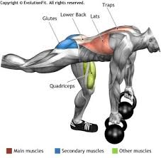 520 followers · amateur sports team. 500 Form For Function Ideas Workout Fitness Body Exercise