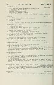 Image result for Eriochrysis pallida