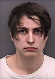 Now I M In Love With A Criminal Colby Brock Sam And Colby Colby