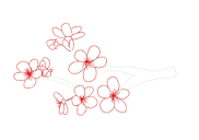 How to Draw Cherry Blossoms | Design School