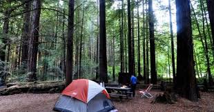 Maybe you would like to learn more about one of these? Camping And Hiking In California S Magnificent Humboldt Redwoods State Park Wanderl Humboldt Redwoods State Park Redwood National And State Parks State Parks