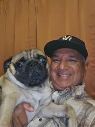 Doggy movie recommendations?