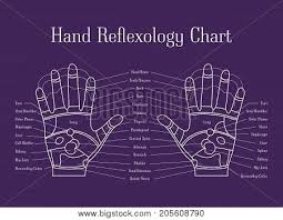 cartoon reflexology vector photo free trial bigstock