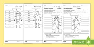 See more ideas about corpul uman, uman, preșcolari. Am Un Corp FiÈe De Activitate Teacher Made