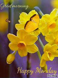 Share the best gifs now >>> Happy Monday Happy Monday Happy Good Morning Greetings