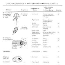 Table 77 1 Classification Of Parasitic Protozoa And Associated Diseases Medical Microbiology Ncbi Bookshelf Teaching Biology Microbiology Technology Life
