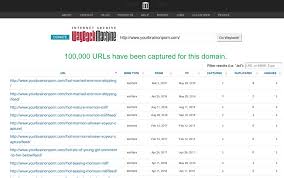 Realyourbrainonporn (Daniel Burgess, Nicole Prause) defamationharassment  of Gary Wilson: They discover fake porn URLs in the Internet Wayback  Archive (August, 2019) - Your Brain On Porn