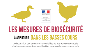 Le niveau de risque est passé de « modéré » à « élevé » en. Grippe Aviaire Mesures De Securite Mairie De Bainville Sur Madon Site Officiel