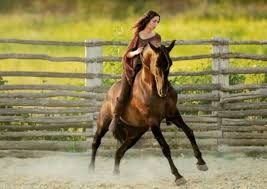 Kenzie Dysli Horse Love Woman Riding Horse Horses