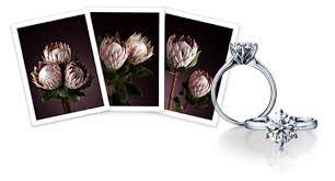 I Love This Ring But I Don T Approve Of Diamonds So I D Have To Find An Alternative Stone Brown S Protea Ring Rings Perfect Ring Jewels