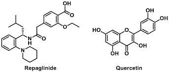 Image result for Repaglinide