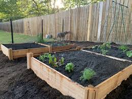 Check spelling or type a new query. Starting A Home Garden From Scratch Whitney Anderson