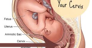 Pin On Pregnancy Baby Stuff