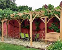 Image result for pruning grapes on a pergola