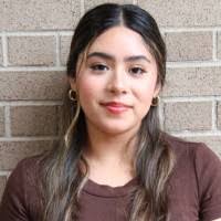 3600+ "Bahena" profiles