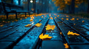 Image result for wallpaper