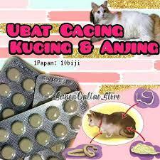 Selain lucu dan menggemaskan, kucing juga menjadi salah satu teman terbaik manusia. Buy Ubat Cacing Kucing Anjing Ubat Cacing Kucing Ubat Cacing Anjing Seetracker Malaysia