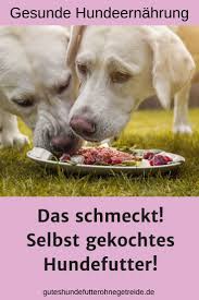 Hundefutter Selber Kochen Tolle Rezepte Zum Ausprobieren Dogco De Hunde Futter Hundefutter Hundefutter Selber Kochen