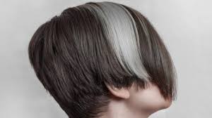 We did not find results for: Mau Potong Rambut Yuk Intip Karakter Yang Cocok Sesuai Zodiakmu