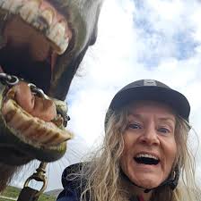 Odds of spotting two identical cars with sequential plates in traffic