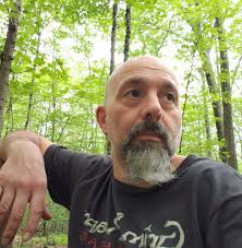 What shocks should I use for my Corvette?