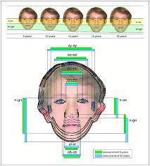 Facial progression based on age from a standard photograph of a... |  Download Scientific Diagram