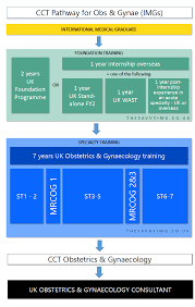 Becoming familiar with a more traditional grammar translation approaches favour a focus on accuracy over meaning. Become An Obstetrics Gynaecology Specialist In The Uk A Comprehensive Guide For Imgs The Savvy Img