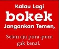 Pin Oleh Yadi Untoro Di Anggoleng Lucu Gambar Lucu Meme
