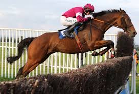 Steeplechase (horse racing), a type of horse race in which participants are required to jump over obstacles steeplechase (athletics), an event in athletics that derives its name from the steeplechase in horse racing Guide To Racing Understanding Horse Racing Tipperary Racecourse