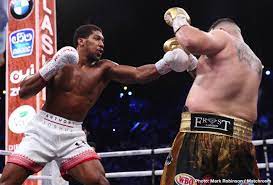 We did not find results for: Now Who Wins Joshua Or Wilder Boxing News