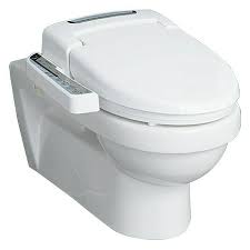 Toilette basteln / mini toilette basteln :. Dusch Wc Sitz Nb09d Mit Elektrischer Bidetfunktion Mit Absenkautomatik Bauhaus
