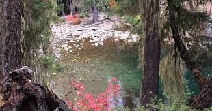Get free map for your website. Salmon La Sac Campground Okanogan Wenatchee Wa 3 Photos