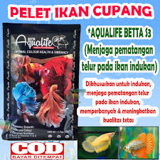 Ikan cupang bisa beradaptasi dengan mudah dengan lingkungan barunya dan untuk masalah makanan, ikan cupang merupakan ikan hias yang tidak pilih pilih masalah makanan. Pelet Ikan Cupang Aqualife Betta Food S3 Pakan Cupang Aqualife Khusus Untuk Indukan Menjaga Pematangan Telur Makanan Ikan Cupang Pelet Premium Ikan Cupang Pelet Ikan Hias Berkualitas Makanan Cupang Pakan Ikan