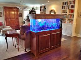 Check spelling or type a new query. The Definitive Guide To Custom Aquarium Design Living Art Aquatics