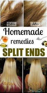 Home Remedies For Split Ends Split Ends Split Ends Hair Split End Remedy