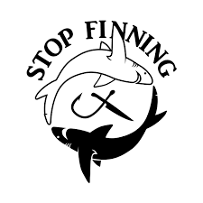 Phil Watson - Shaaark! cartoons • Stop Finning Deutschland e.V.