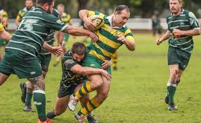 Steve Brandon leads Shoalhaven's domination at Illawarra Rugby awards'  night
