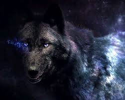 1024x819 wallpapers for > black wolf wallpaper hd. Hd Black Wolf Wallpapers Peakpx