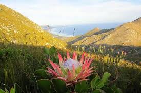 Pin By Andre Kok On Cape The Beautiful Cape South Africa Travel Provinces Of South Africa South Africa