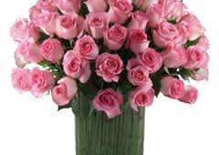 Trias flower shop miami fl. Trias Flowers And Gifts 6520 Bird Rd Miami Fl 33155 Yp Com