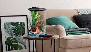 We did not find results for: 5 Tropical Fish You Should Include In Your Aquarium My Decorative