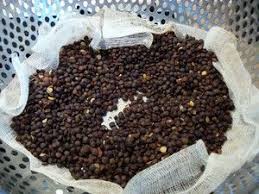 Comment Faire Cuire Les Lentilles A La Vapeur Audrey Cuisine Comment Cuire Des Lentilles Cuisson Lentilles Lentilles