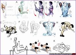 4 Arms Bodybuilding Exercises Chart Work Out Picture Media