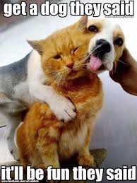 The heart of animals is the foundation of their life, the sovereign of everything within them, the sun of their microcosm, that upon which all growth depends the fate of animals is of far greater importance to me than the fear of appearing ridiculous. Images Of Funny Animal Memes