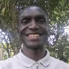 Image result for Campylospermum densiflorum