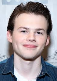 Zbrodnie niewinności (2016) pełna obsada