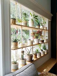 Step By Step Guide On How To Make A Beautiful Plant Wall House Plants Decor Hanging Plants Indoor Plant Shelves