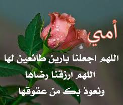 دعاء اسلام صور الله الله اكبر استغفرالله مسلم قرأن ذكر إسلاميات دين إيمان أدعيةإسلامية صومعالدعاء أذكار أدعيةدينية صورإس christmas ornaments plant leaves islam