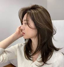 Take a look at the following styles and find a hairdo that wo. 20 Short Asian Haircuts For Women In 2022 Short Hair Models